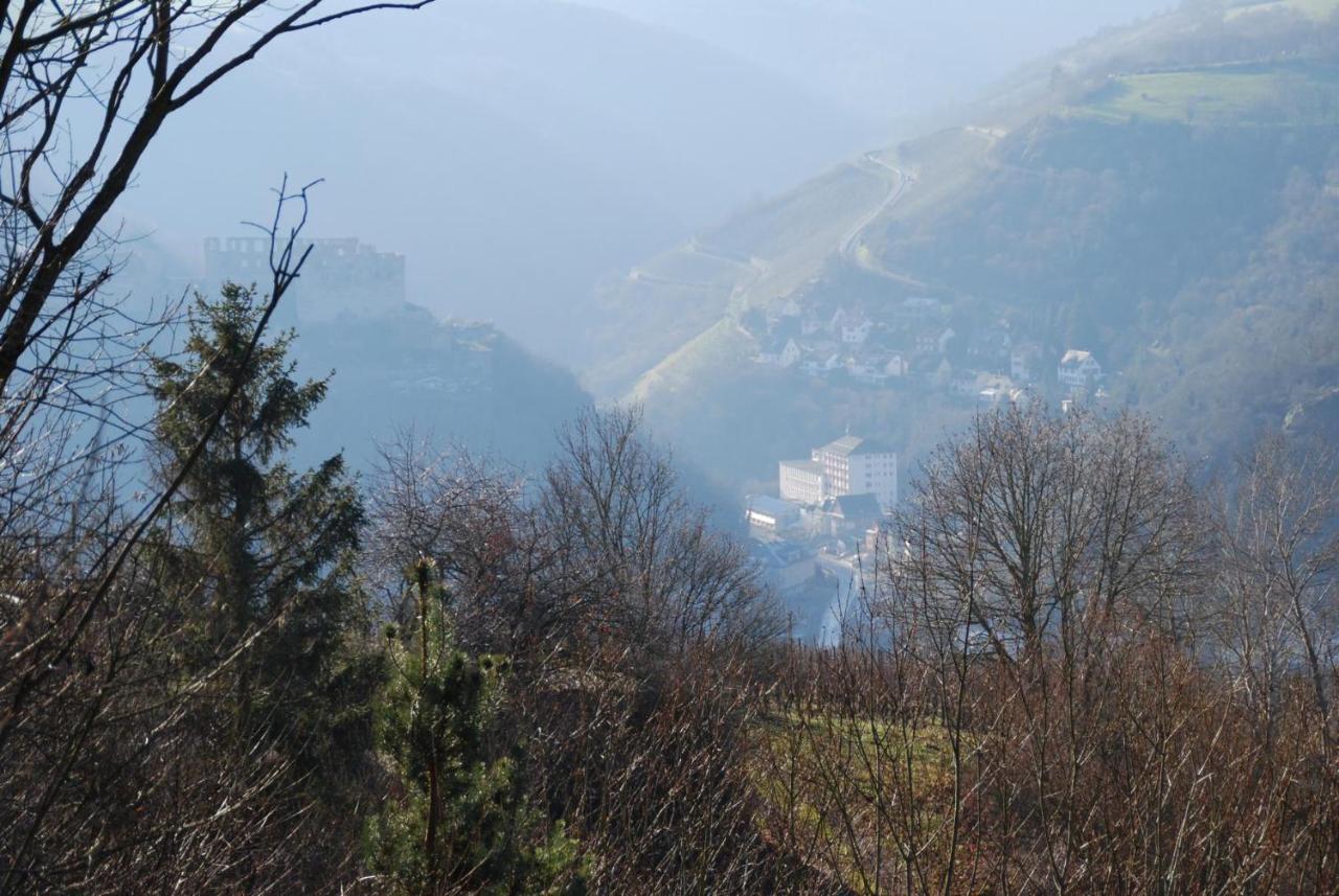 Paradiesisch Wohnen - Loreley Sankt Goarshausen Buitenkant foto
