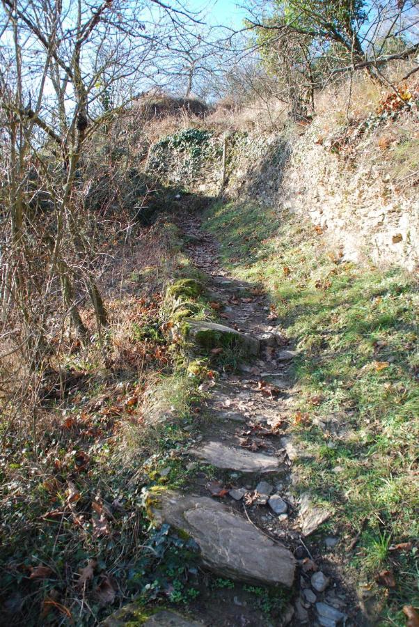 Paradiesisch Wohnen - Loreley Sankt Goarshausen Buitenkant foto