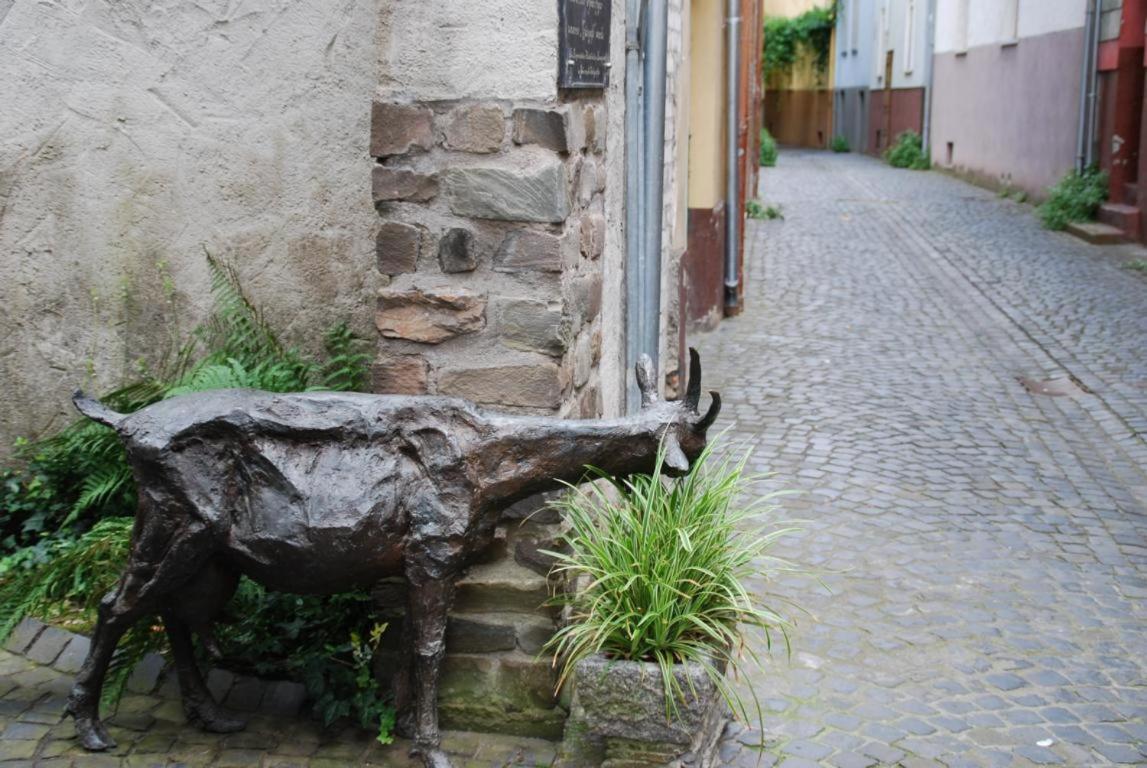 Paradiesisch Wohnen - Loreley Sankt Goarshausen Buitenkant foto